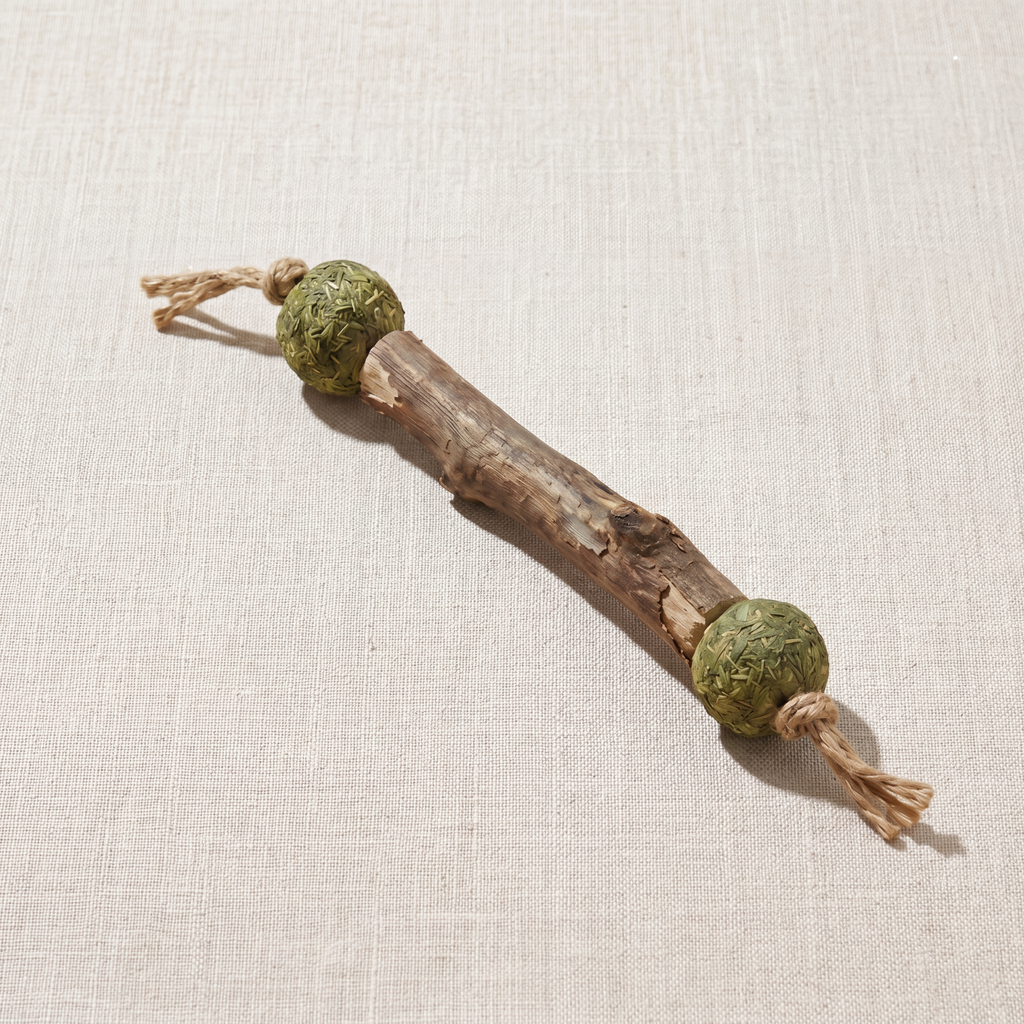 Maison Claw™ Silvervine Sticks
